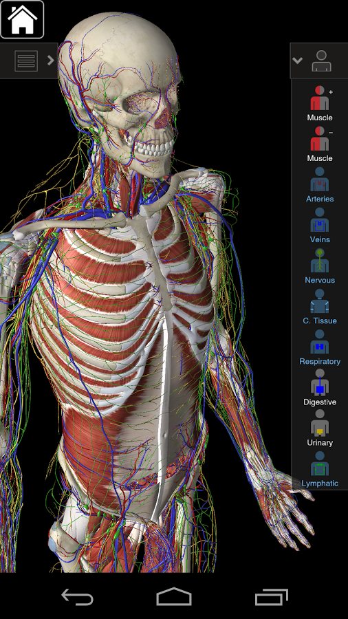 essential anatomy mac free download